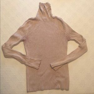 Express Vintage Turtleneck